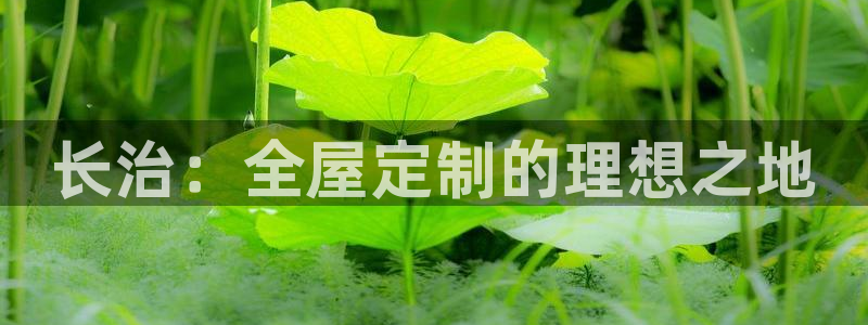 BB电子烟官网