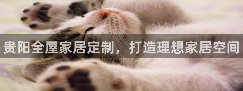 bb电子教育平台