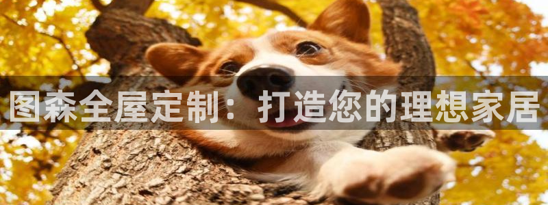 bb电子