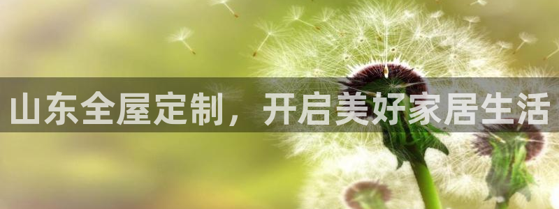网上bb电子为什么那么假