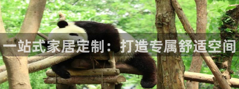 bB电子琴和弦