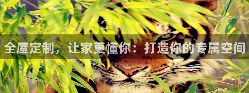 bb电子哪个平台好用