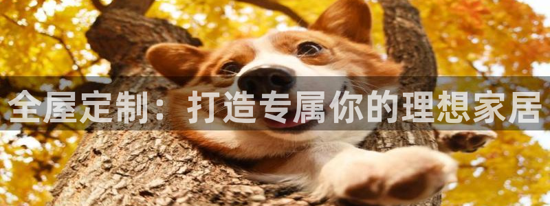 bb电子mini彩金掉落规则