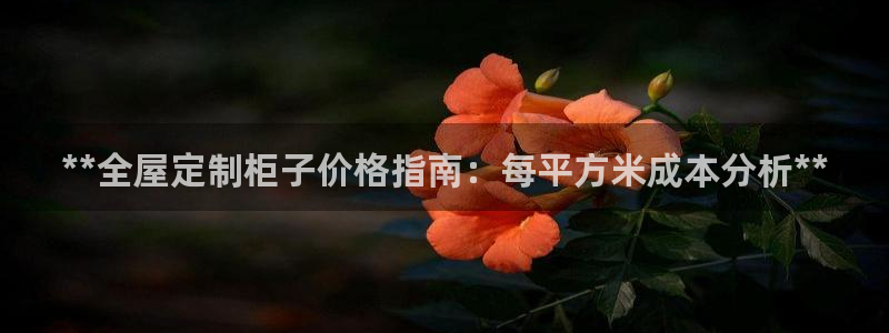 bB电子琴和弦