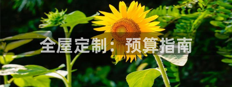 bb电子哪个平台好一点