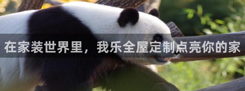 BB电子锁怎么接电