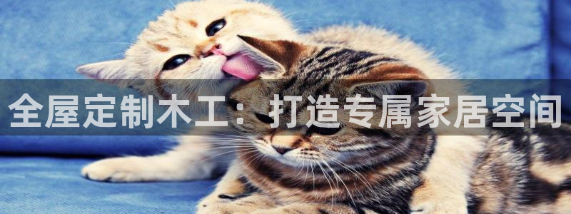 BB电子烟官网