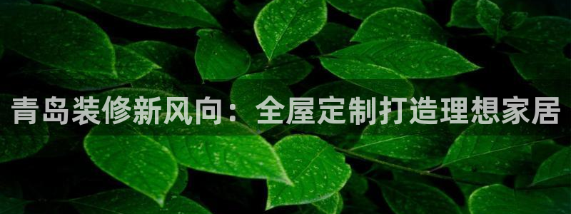 bb电子哪个平台好啊
