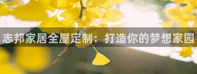 bb电子最简单设置方法