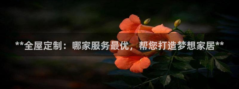 bb电子哪个平台好