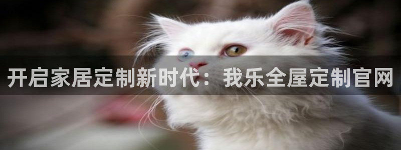 bb电子哪个平台好用一点