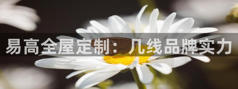 bb电子官网登录