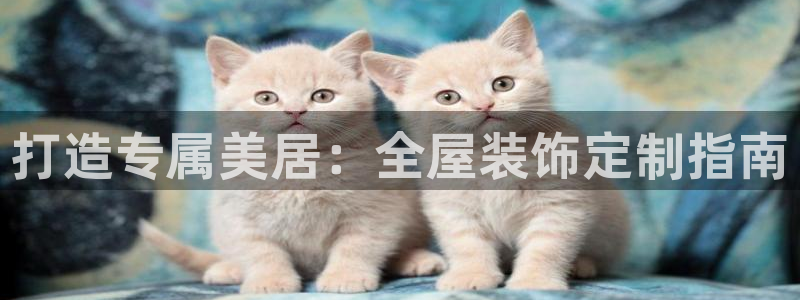 网上bb电子为什么那么假的