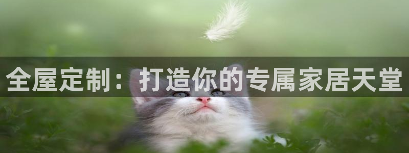 bb电子中了Major怎么算