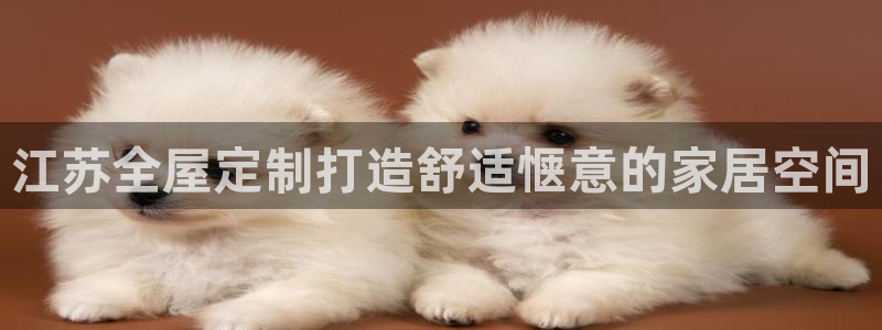 bb电子怎么英语怎么说