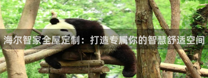 bb电子官网登录