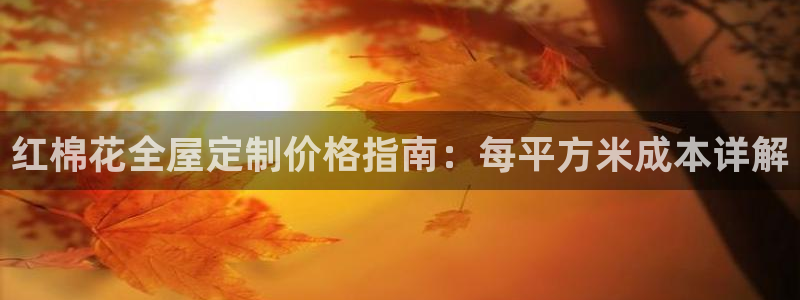 bb电子哪个平台好用一点