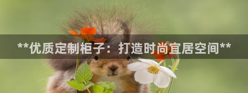 bb电子哪个平台好用一点