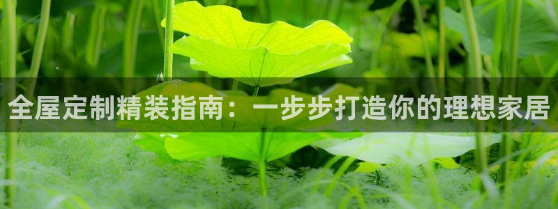 bb电子哪个平台好出款啊