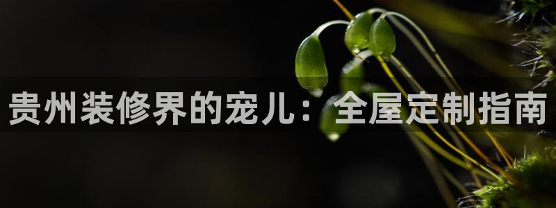 BB电子怪物派对