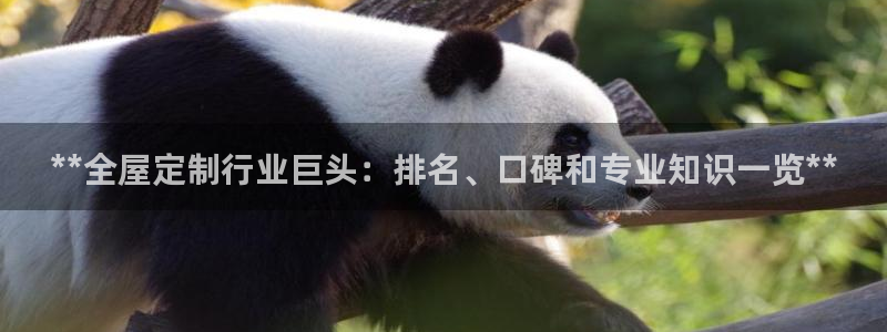 bb电子掉彩金