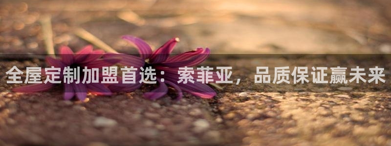BB电子麻将胡了