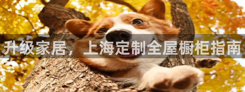 网上bb电子为什么那么假