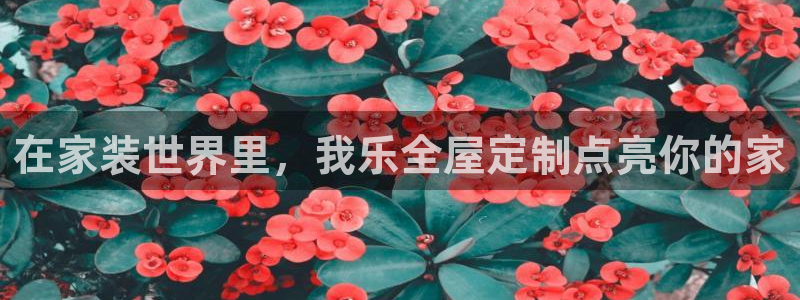 bb电子哪个平台好用