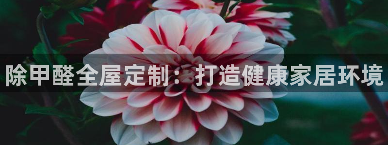 bb电子哪个平台好些