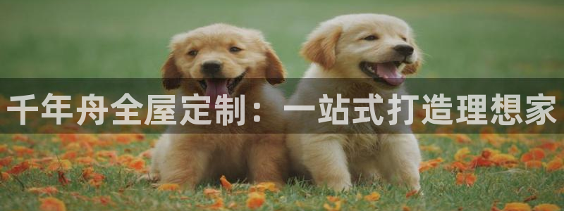 bb电子怎么样