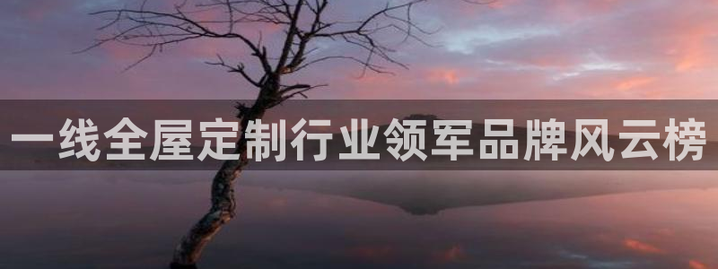 bb电子哪个平台好用点