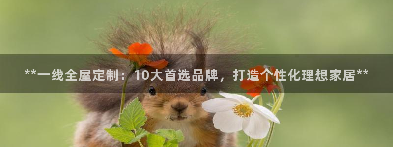 bb电子哪个游戏好赢钱一点的