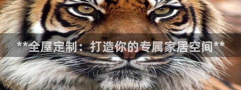 BB电子哪个平台好出款