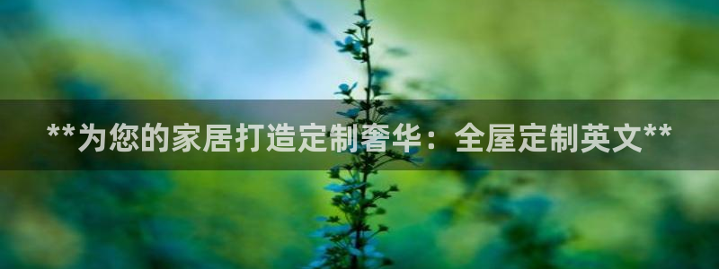 bb电子掉彩金