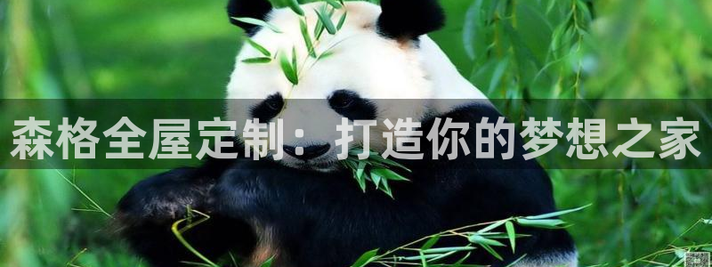 bb电子哪个平台好