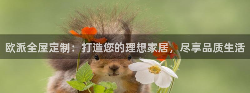 xbb电子游艺