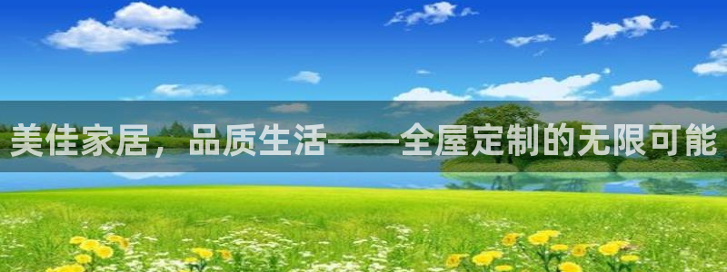 bb电子哪个平台好用点