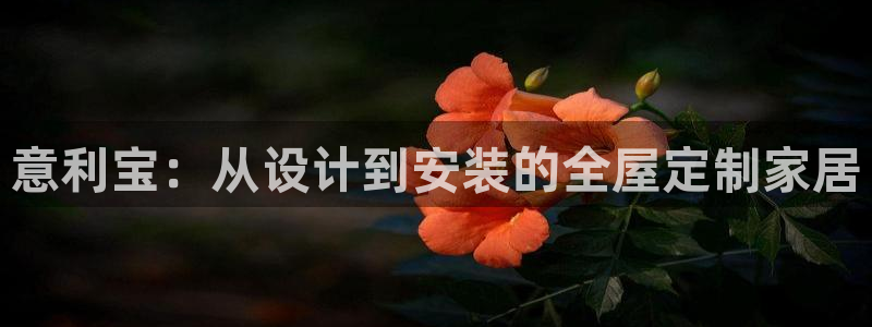 bb电子糖果彩球