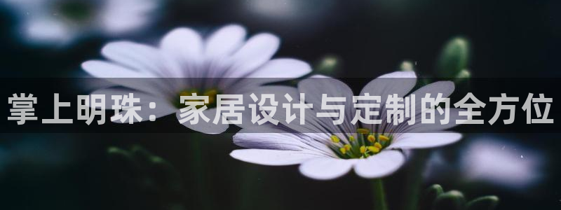 bb电子掉彩金