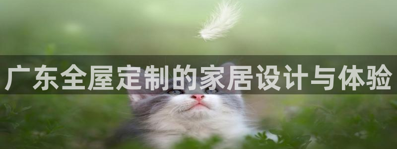 bb电子哪个平台好出款啊