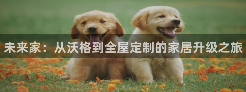 bb电子爆奖