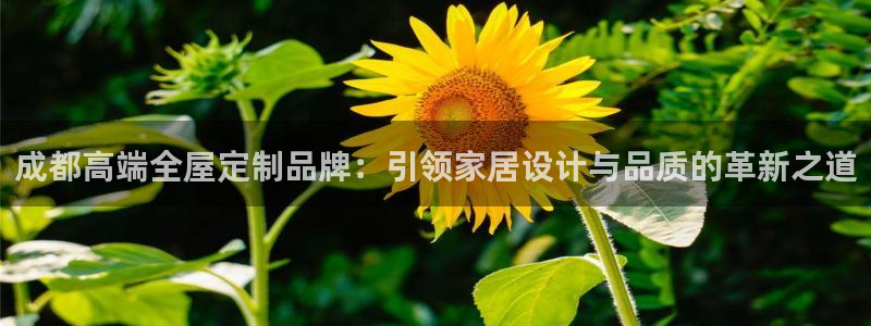 bb电子mini彩金
