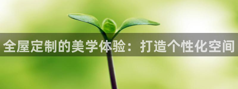bb电子哪个平台好啊