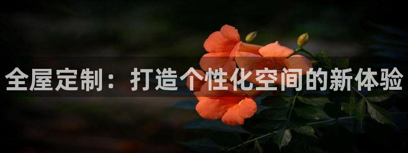bb电子哪个平台好出款啊