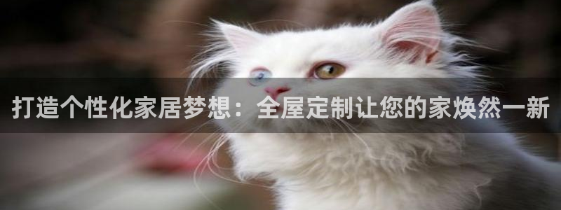 BB电子锁怎么接电