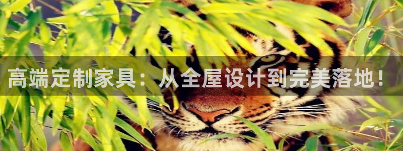 Bb电子琴和弦是哪个