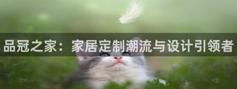 BB电子烟官网