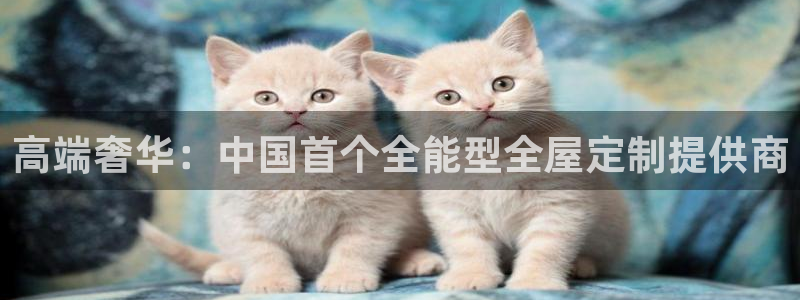 bb电子怎么赢
