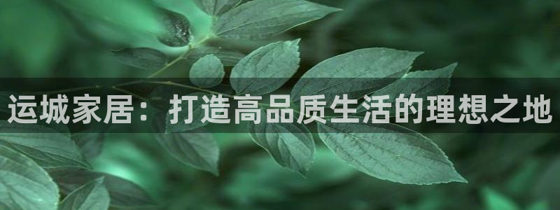 BB电子骗局