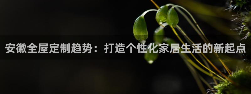 网上bb电子为什么那么假的